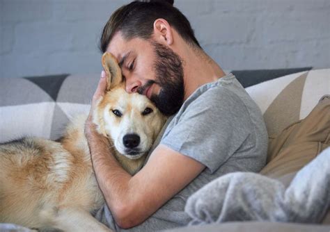 Dire "je t'aime" à son chien augmente son rythme cardiaque, le caresser ...