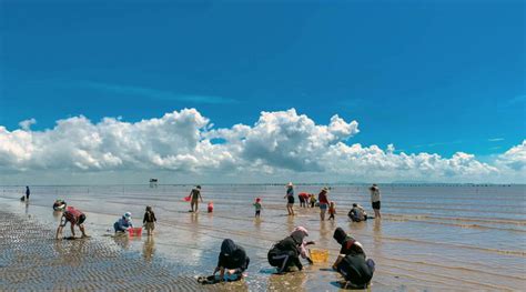 Tan Thanh Beach - Tien Giang - Experience Clam Raking