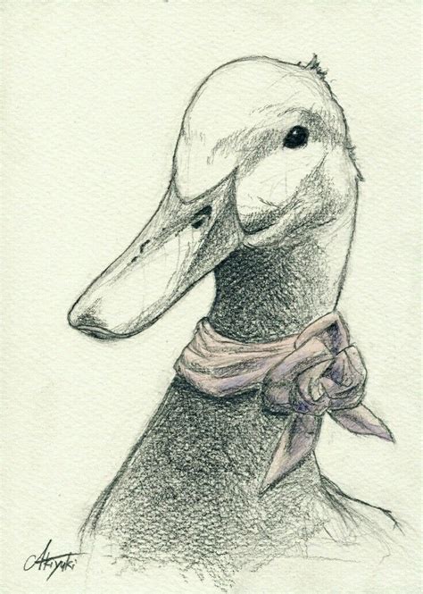 Pin by EB Kinsella on dibujos | Animal drawings, Animal drawings sketches, Bird drawings