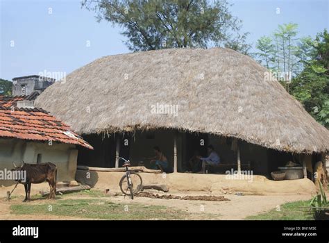 Grass Thatched Hut High Resolution Stock Photography and Images - Alamy