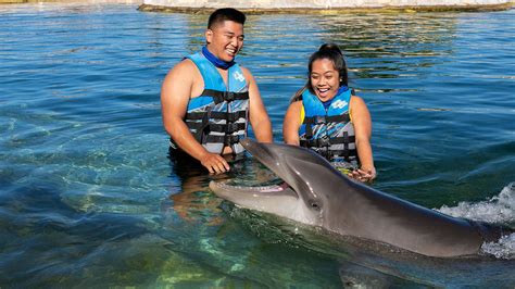 3 Fun New Things to Do at Sea Life Park Hawaii | TravelAge West