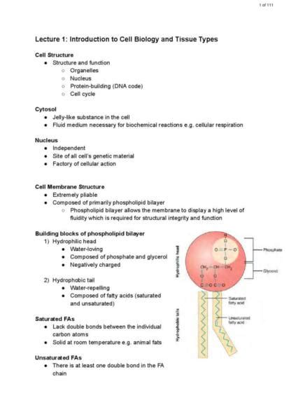 Veterinary Anatomy & Physiology (VET-10001) lecture notes | StudyLast