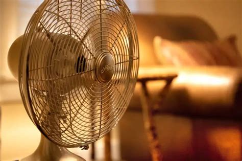 Why Is My Standing Fan Making Noise? [Top Reasons] - Homestead & Prepper