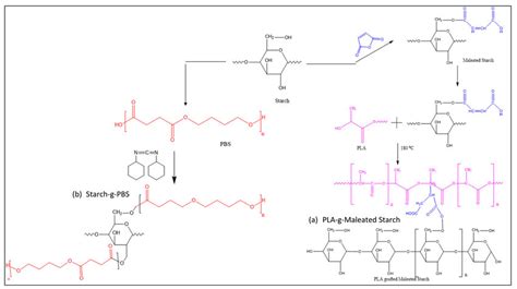 Synthesis route during the preparation of (a) Starch-g-PBS (b) PLA-g-MTPS. | Download Scientific ...