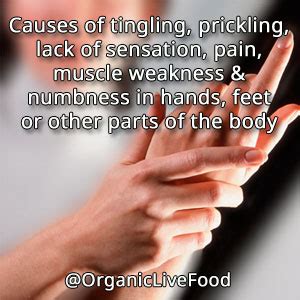 What causes tingling, prickling, lack of sensation, pain, muscle ...