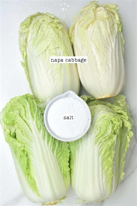 Napa Cabbage Kimchi (Korean Baechu-Kimchi) - Alphafoodie