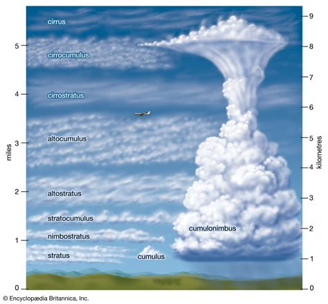 The Clouds Have Formed Primarily Because Moist Air - Amaris-has-Alexander