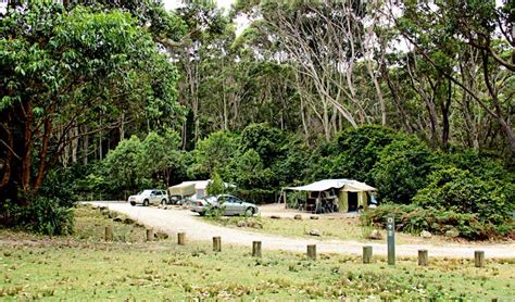 Pebbly Beach campground - Murramarang National Park | NSW National Parks