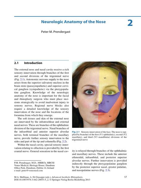 Infratrochlear Nerve Block | PDF | Human Head And Neck | Human Anatomy