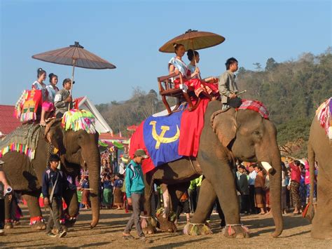 Elephant Festival