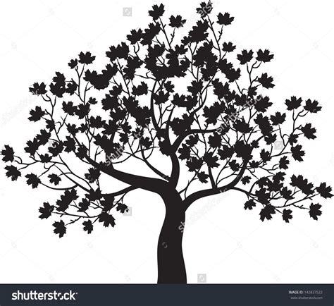 Maple Tree Stock Vectors & Vector Clip Art | Tree illustration, Maple ...