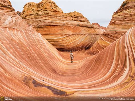 21 Of The Best Nature Photo Entries To The 2014 National Geographic ...