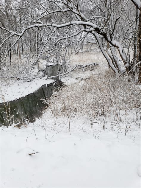 Gallery: Snow falls across Kansas