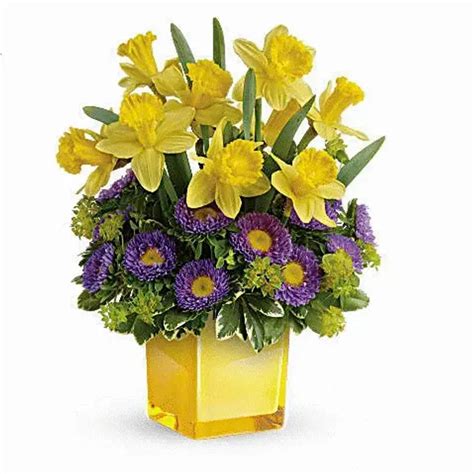 Daffodil Bouquet Key Largo Florist: Key Largo Flowers & Gifts | Local ...