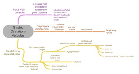 Gastric Dilatation-Volvulus - Coggle Diagram