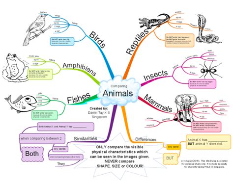 Animals mindmapped | Mind map, Mind map examples, Mind map design