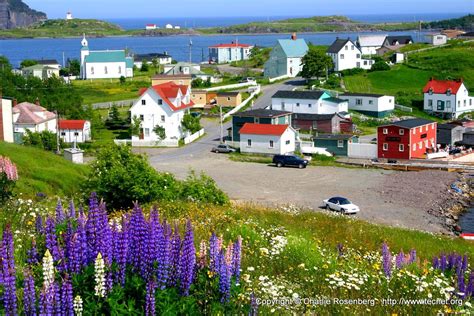 Trinity, Newfoundland | Newfoundland travel