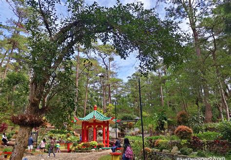 Back To Baguio (With Mama) : Botanical Garden - It's Me Bluedreamer!