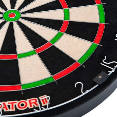 5 Best Bristle Dartboards Reviewed in Detail (Dec. 2024)