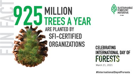 SFI Celebrates the International Day of Forests - forests.org