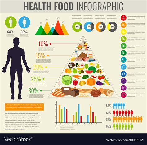 Health food infographic pyramid healthy Royalty Free Vector