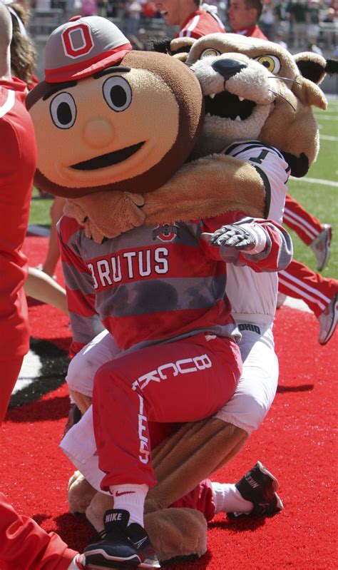 Bobcat mascot intentionally tackled Buckeyes' Brutus | Sports | columbiamissourian.com