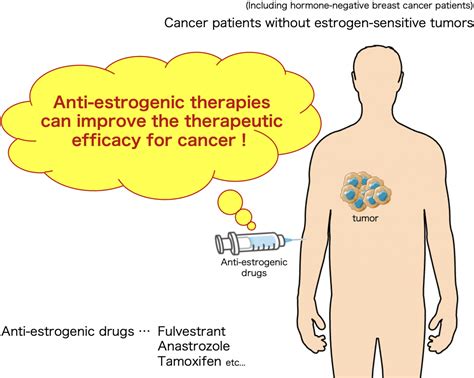 Estrogen-negative cancers respond to anti-estrogenic therapies | Asia Research News