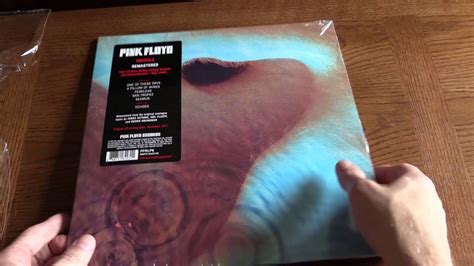 Pink Floyd Meddle Vinyl