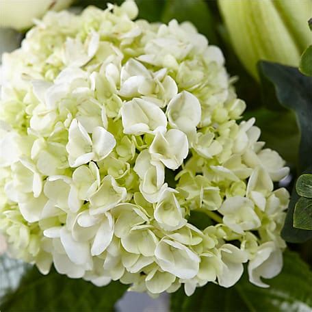 Classic Ivory – A Florist Original from FTD | SendFlowers.io