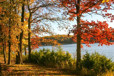 Where to See the Best Fall Leaves in the U.S.