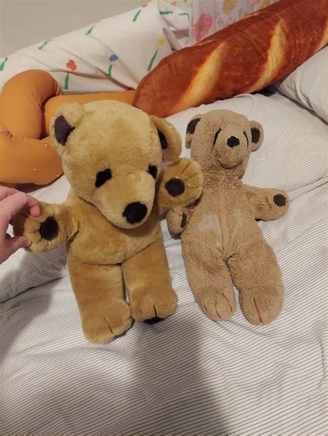 My teddy bear before and after 20 years : r/Wellworn