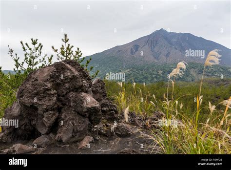 Japan with Sakurajima Volcano Stock Photo - Alamy