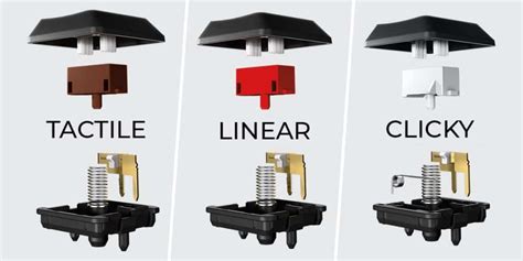 Tactile Vs Linear Vs Clicky Switches | Which one Suits you Best – Scroll Better