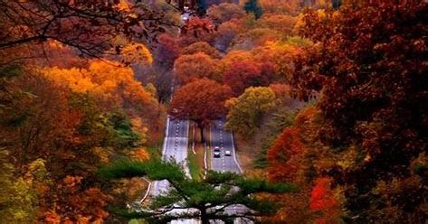 "Talking Transportation": "Getting There" - The Merritt Parkway Monorail