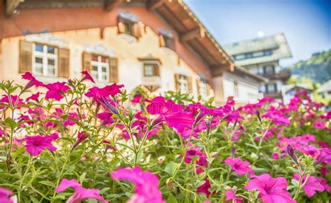 Summer Village Kitzbuhel , Austria Stock Image - Image of destination ...