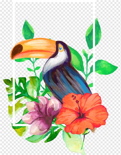 Dibujo acuarela, dibujo realista decorativa estética flores y loro ...