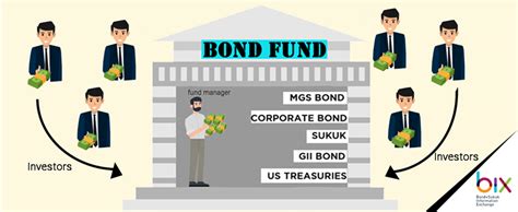 Investing in Bond Funds or Individual Bonds? | BIX