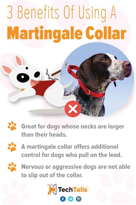 3 Benefits Of Using A Martingale Collar - It is hard to know what kind ...