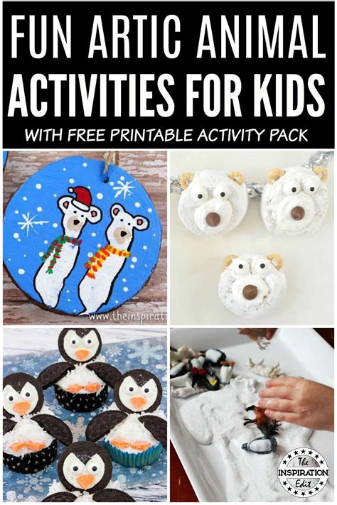 Fun Artic Animal Activities for Kids · The Inspiration Edit