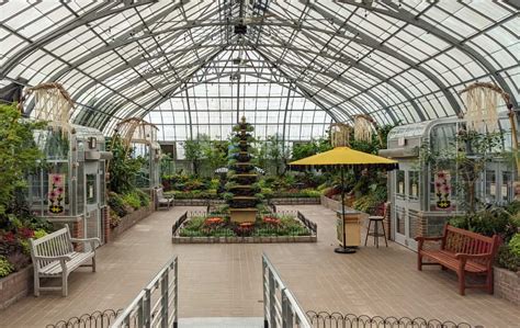 The Butterfly Show at the Krohn Conservatory is Back for 2021!