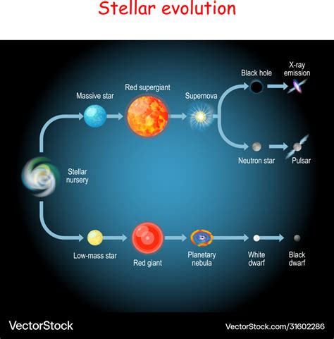 Star Life Cycle Stages Vector Illustration Diagram Star Life Cycle | The Best Porn Website