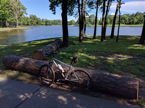 Fallen Trees Biking Kingwood Trails – Texbiker.net