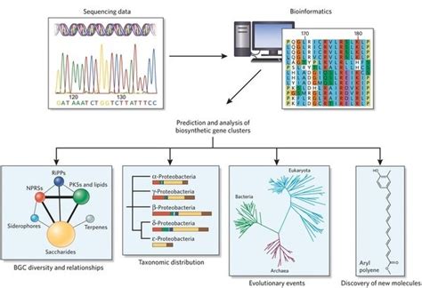 Overview of Bioinformatics Services - Creative Proteomics