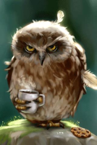 an owl sitting on top of a rock with a cup of coffee in its hand