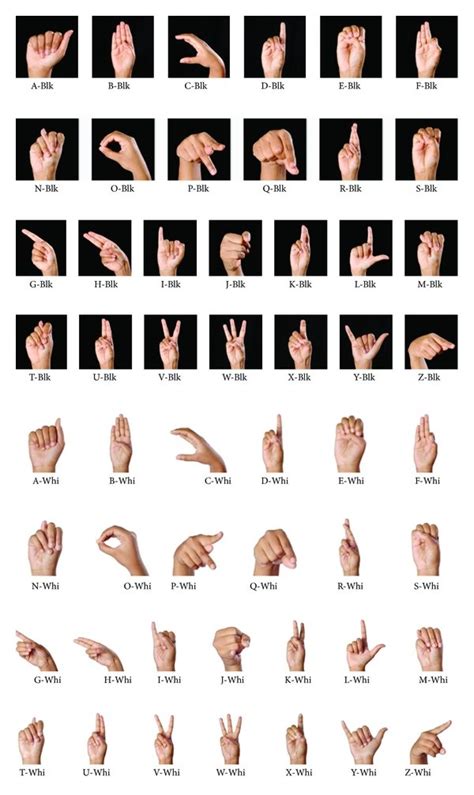 American sign language Database. | Download Scientific Diagram