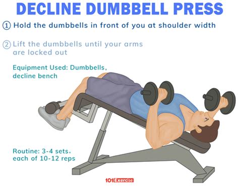 Decline Dumbbell Press | 101Exercise.com