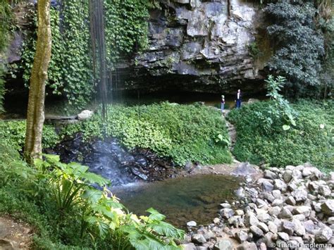 Exploring Dorrigo National Park – The Travel Temple