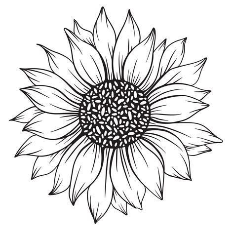 arte de línea de girasol, dibujo de línea de girasol, dibujo de línea floral, contorno de ...