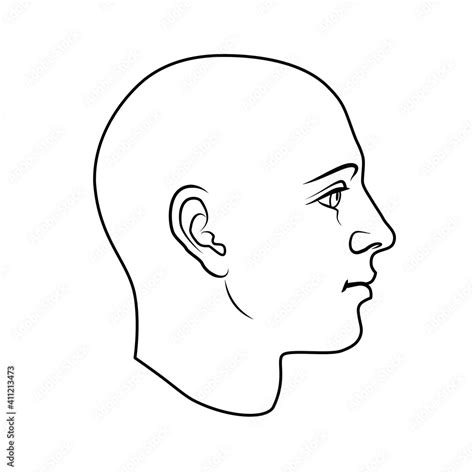 Hand drawn model of human head in side view. Black and white outline flat vector drawing ...