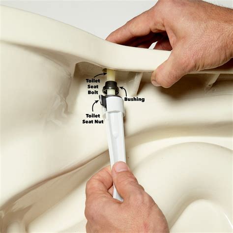 Toilet Seat Repair: Keep Your Seat Tight | Family Handyman